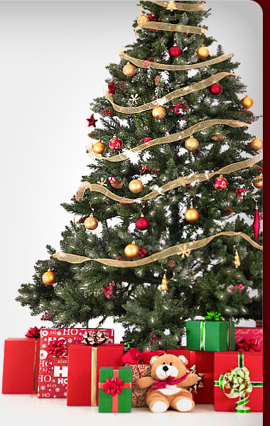 Weihnachtsbaum