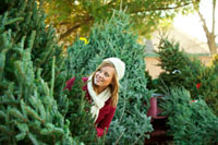 Frau kauft Weihnachtsbaum
